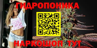 ECSTASY Лесосибирск